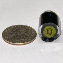 Load image into Gallery viewer, Dave Strobel Rasta Sugar Skull Surronded by Leaves Cane
