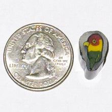 Load image into Gallery viewer, Robin Culbertson Rasta Parrot Cane
