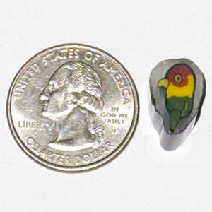 Robin Culbertson Rasta Parrot Cane