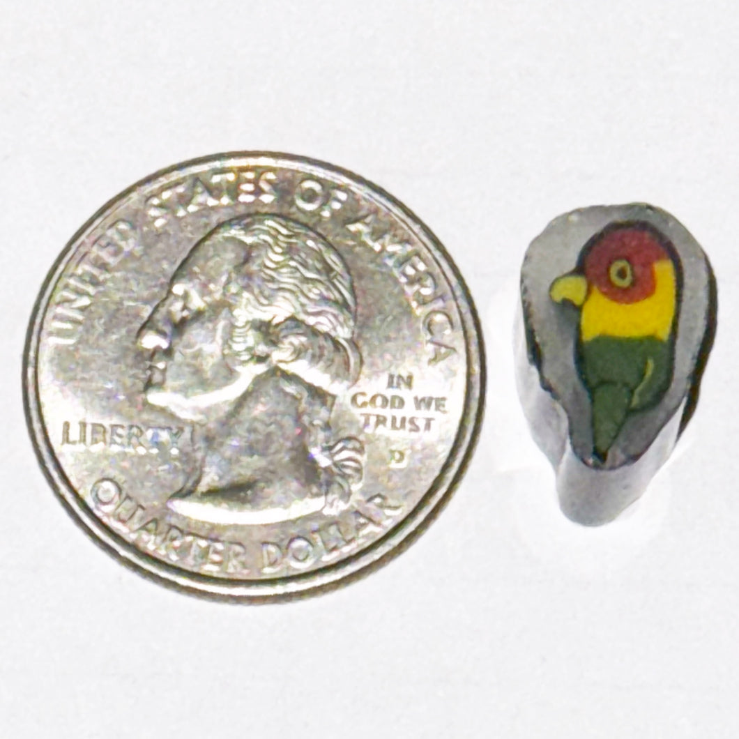 Robin Culbertson Rasta Parrot Cane