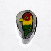 Load image into Gallery viewer, Robin Culbertson Rasta Parrot Cane
