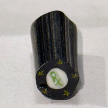 Load image into Gallery viewer, Robin Culbertson Rx Cane
