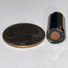 Load image into Gallery viewer, Chris Hubbard Bordered Rainbow Weave Cane
