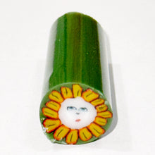 Load image into Gallery viewer, Tara Roberts Flower Face Cane

