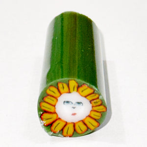 Tara Roberts Flower Face Cane