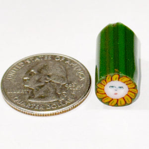 Tara Roberts Flower Face Cane