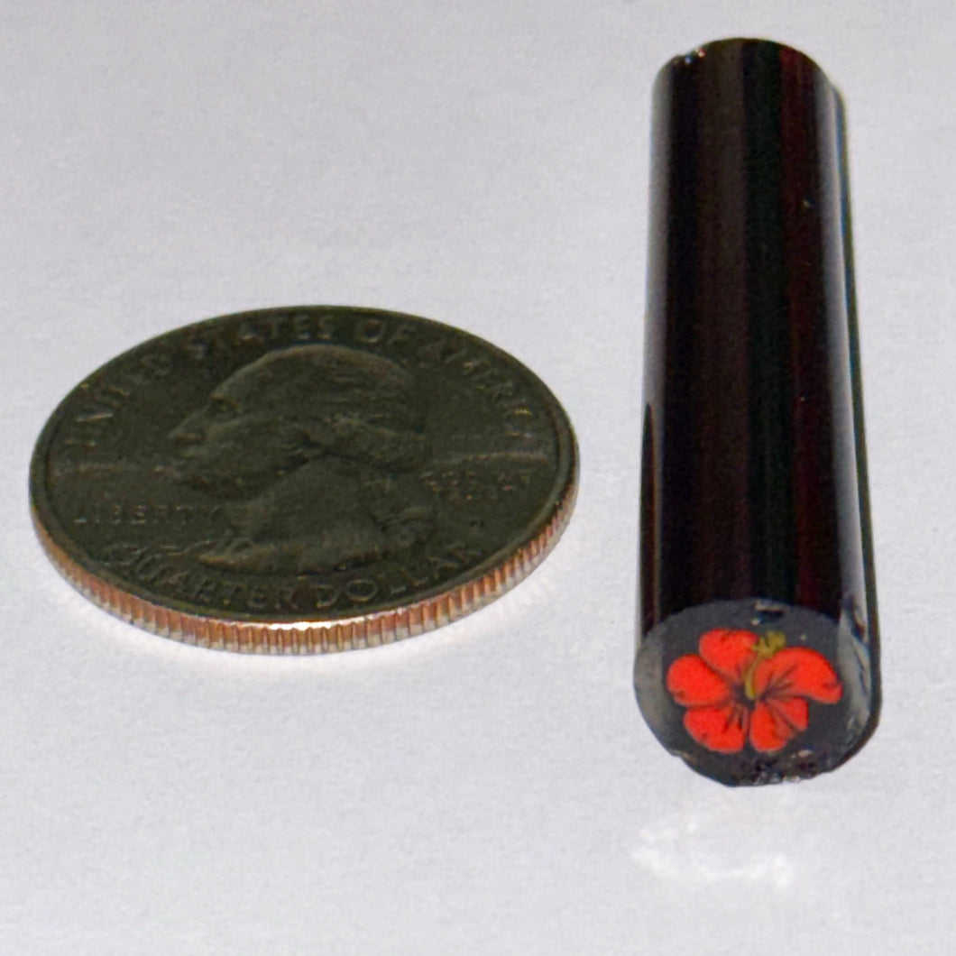 Malachi Wilkinson Hibiscus Flower Cane