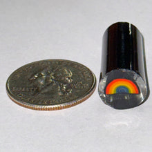Load image into Gallery viewer, Jason Lee Rainbow Cane
