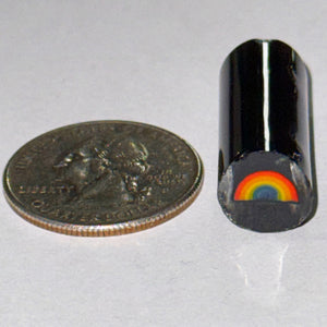 Jason Lee Rainbow Cane