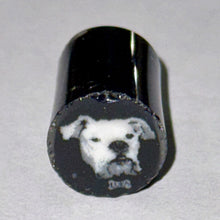 Load image into Gallery viewer, Andy Buckles Luka Cane
