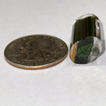 Load image into Gallery viewer, Beth James Streakin Bart Leaf Component Cane

