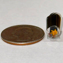 Load image into Gallery viewer, Beth James Why You Little Bart Hand Component Cane
