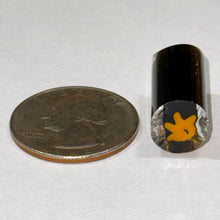Load image into Gallery viewer, Beth James Why You Little Bart Hand Component Cane
