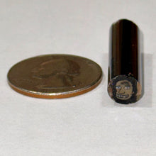 Load image into Gallery viewer, Beth James Dr. Julius M. Hibbert Head Cane
