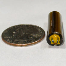 Load image into Gallery viewer, Beth James Tweety Head Cane
