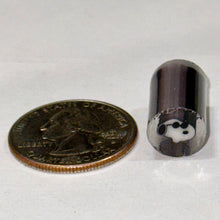 Load image into Gallery viewer, Beth James Joe Cool Snoopy Head Cane
