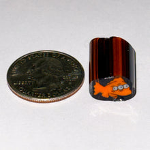 Load image into Gallery viewer, Dave Strobel Blinky Cane
