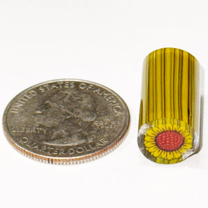 Dave Strobel Sunflower Cane