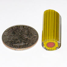 Load image into Gallery viewer, Dave Strobel Sunflower Cane
