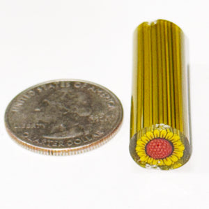 Dave Strobel Sunflower Cane