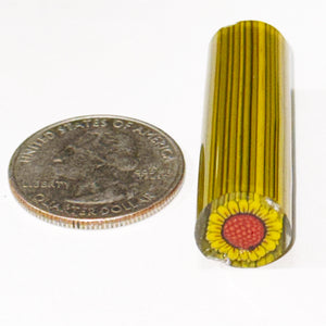 Dave Strobel Sunflower Cane