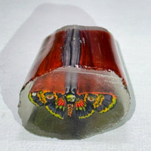 Load image into Gallery viewer, Stephen Boehme Death Moth Cane
