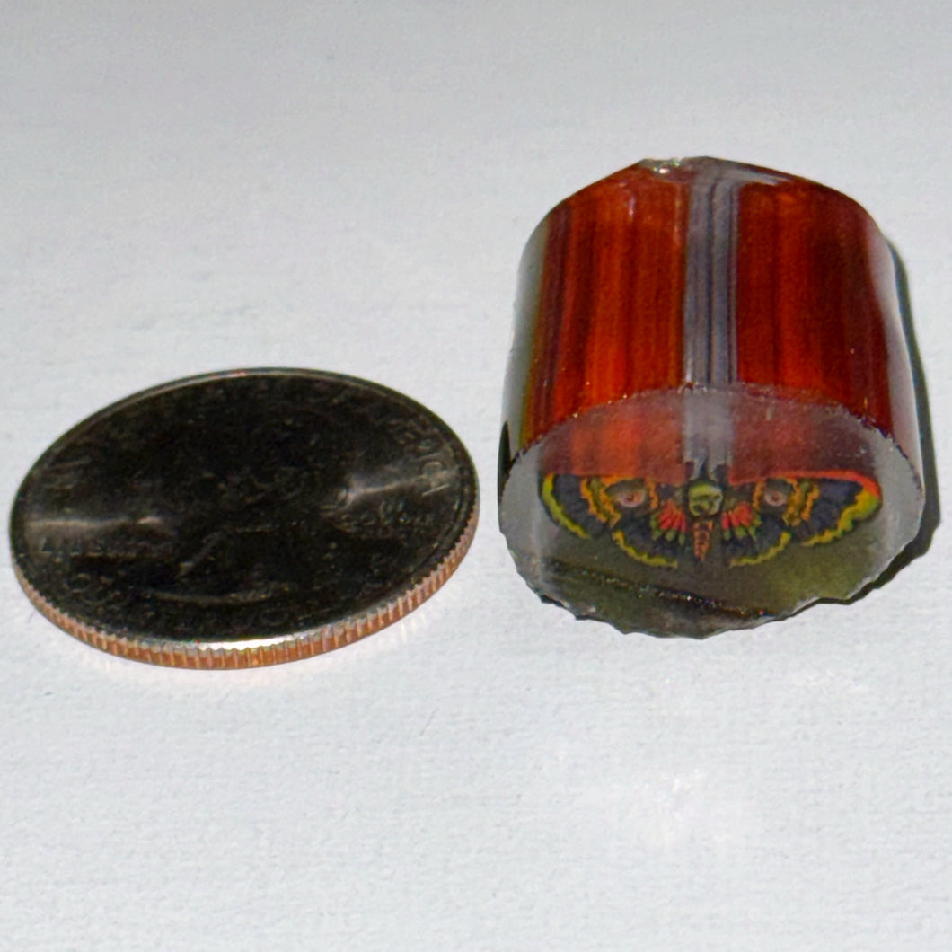 Stephen Boehme Death Moth Cane