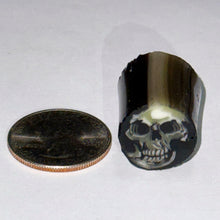 Load image into Gallery viewer, Stephen Boehme Skull Cane #2
