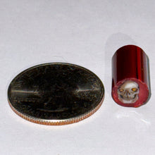 Load image into Gallery viewer, Stephen Boehme Skull Cane #3 (Red Background)
