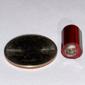 Stephen Boehme Skull Cane #3 (Red Background)