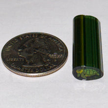 Load image into Gallery viewer, Dave Strobel Turtle Cane
