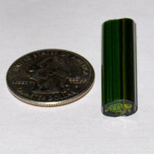 Load image into Gallery viewer, Dave Strobel Turtle Cane
