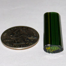 Load image into Gallery viewer, Dave Strobel Turtle Cane
