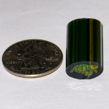 Load image into Gallery viewer, Dave Strobel Turtle Cane
