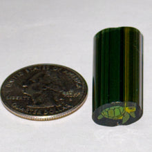 Load image into Gallery viewer, Dave Strobel Turtle Cane

