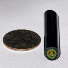 Load image into Gallery viewer, Dave Strobel Rasta Lion Cane
