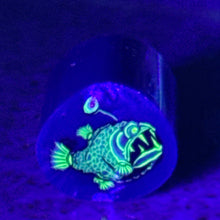 Load image into Gallery viewer, Stephen Boehme UV Angler Fish Cane
