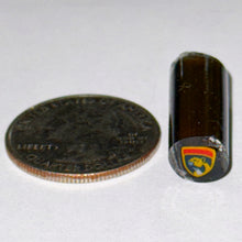 Load image into Gallery viewer, Malachi Wilkinson Panthers Cane
