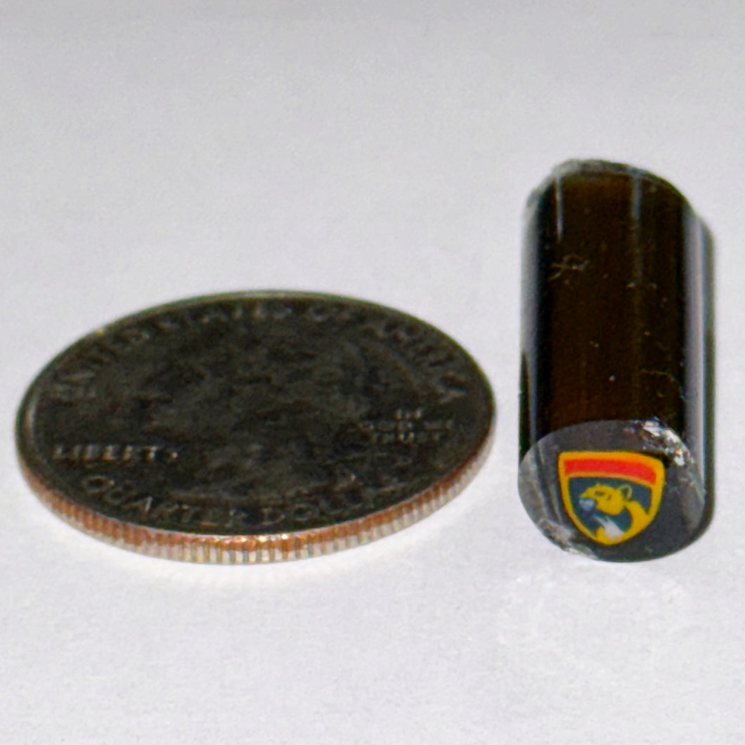 Malachi Wilkinson Panthers Cane