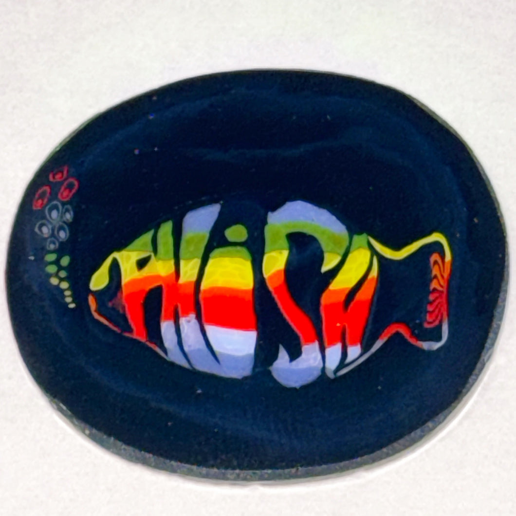 Dave Strobel Phish Coin