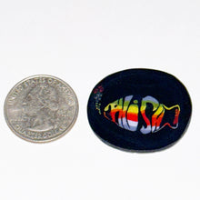 Load image into Gallery viewer, Dave Strobel Phish Coin
