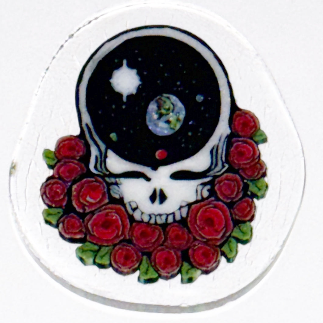 Dave Strobel Steal Your Space Coin