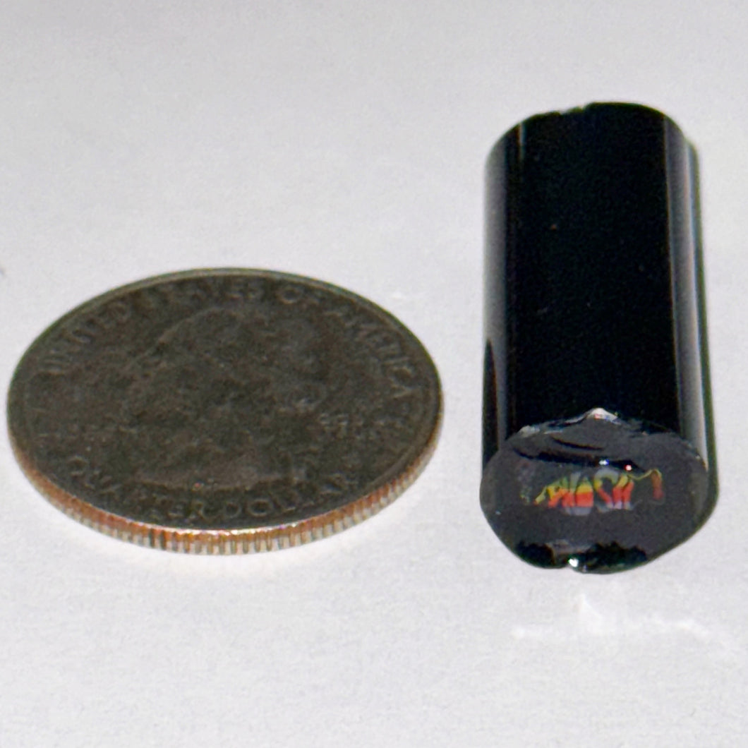 Dave Strobel Phish Cane