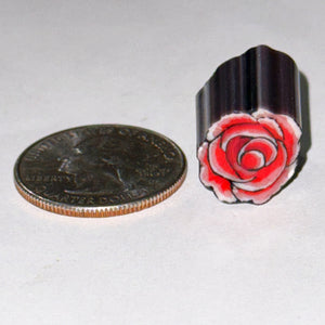 Stephen Boehme Rose Cane