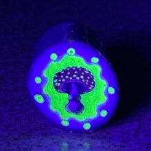 Load image into Gallery viewer, Stephen Boehme Bordered UV Mushroom Cane
