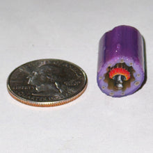 Load image into Gallery viewer, Stephen Boehme Bordered UV Mushroom Cane
