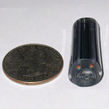 Load image into Gallery viewer, Stephen Boehme Laboobuboo Frank Cane
