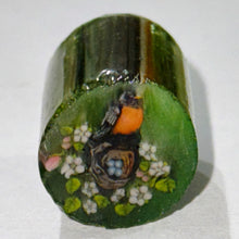 Load image into Gallery viewer, Stephen Boehme Robin Nest Cane
