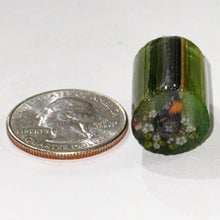 Load image into Gallery viewer, Stephen Boehme Robin Nest Cane
