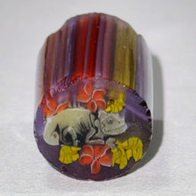 Load image into Gallery viewer, Stephen Boehme Chameleon Cane v2

